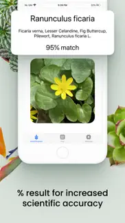 plant id match: identification iphone screenshot 2