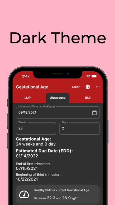 Gestational Age (baby's age) Screenshot