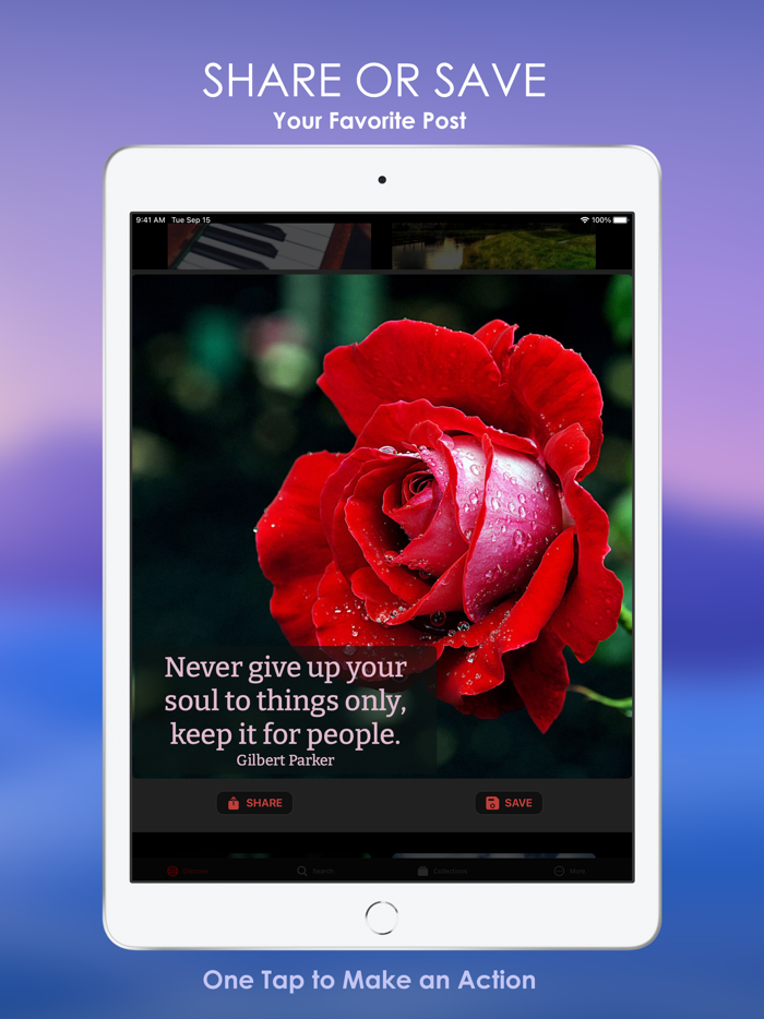 Redmades Readymade Posts