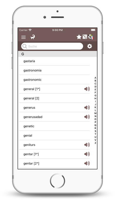 Dictionnaire Romanche Francais Screenshot