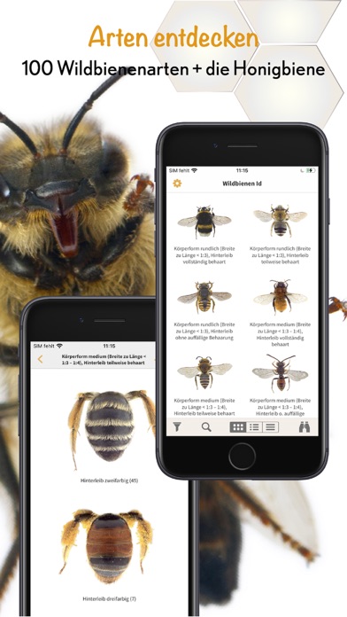 Wildbienen Id BienABest Screenshot