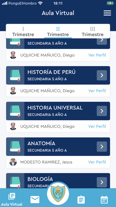 Screenshot #2 pour Virgen de Lourdes