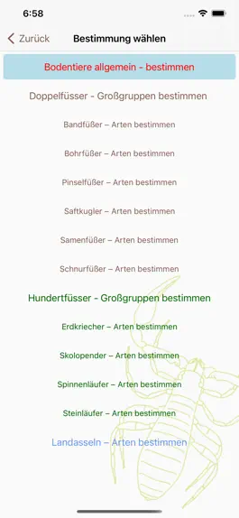 Game screenshot Bodentier hoch 4 apk