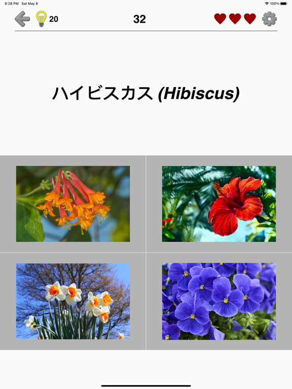 花 - 美しい植物についての植物のクイズのおすすめ画像4