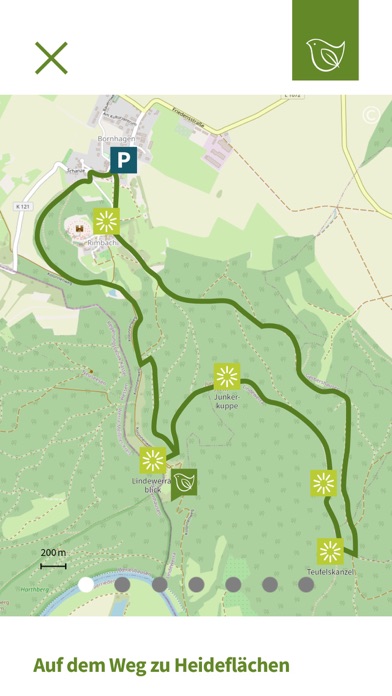 grünebandbreite Screenshot