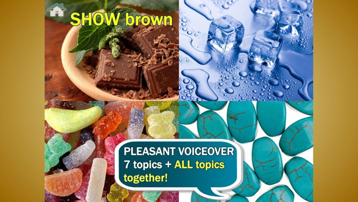 Point the picture For babies