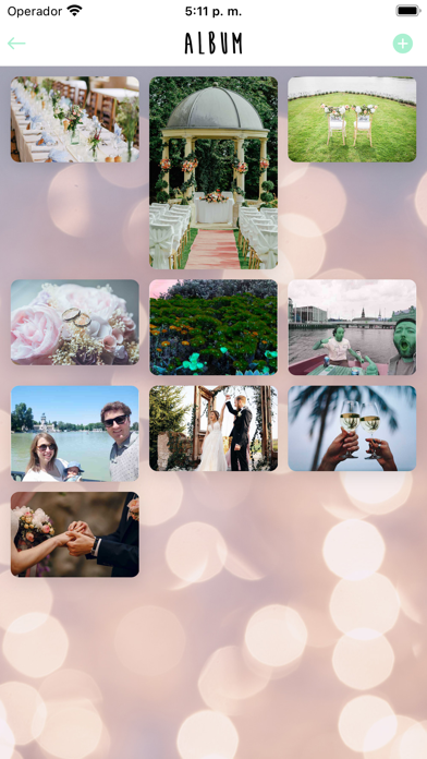 AppTuBoda Screenshot