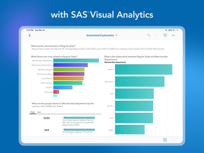 SAS Visual Analytics