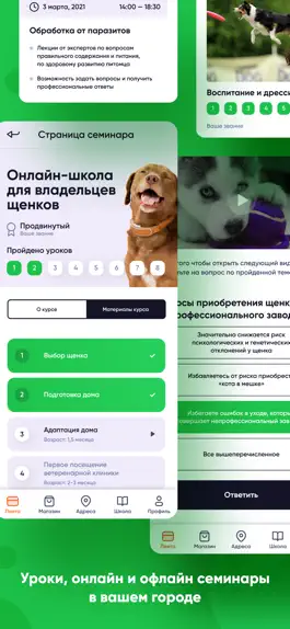 Game screenshot Хвост Ньюс apk