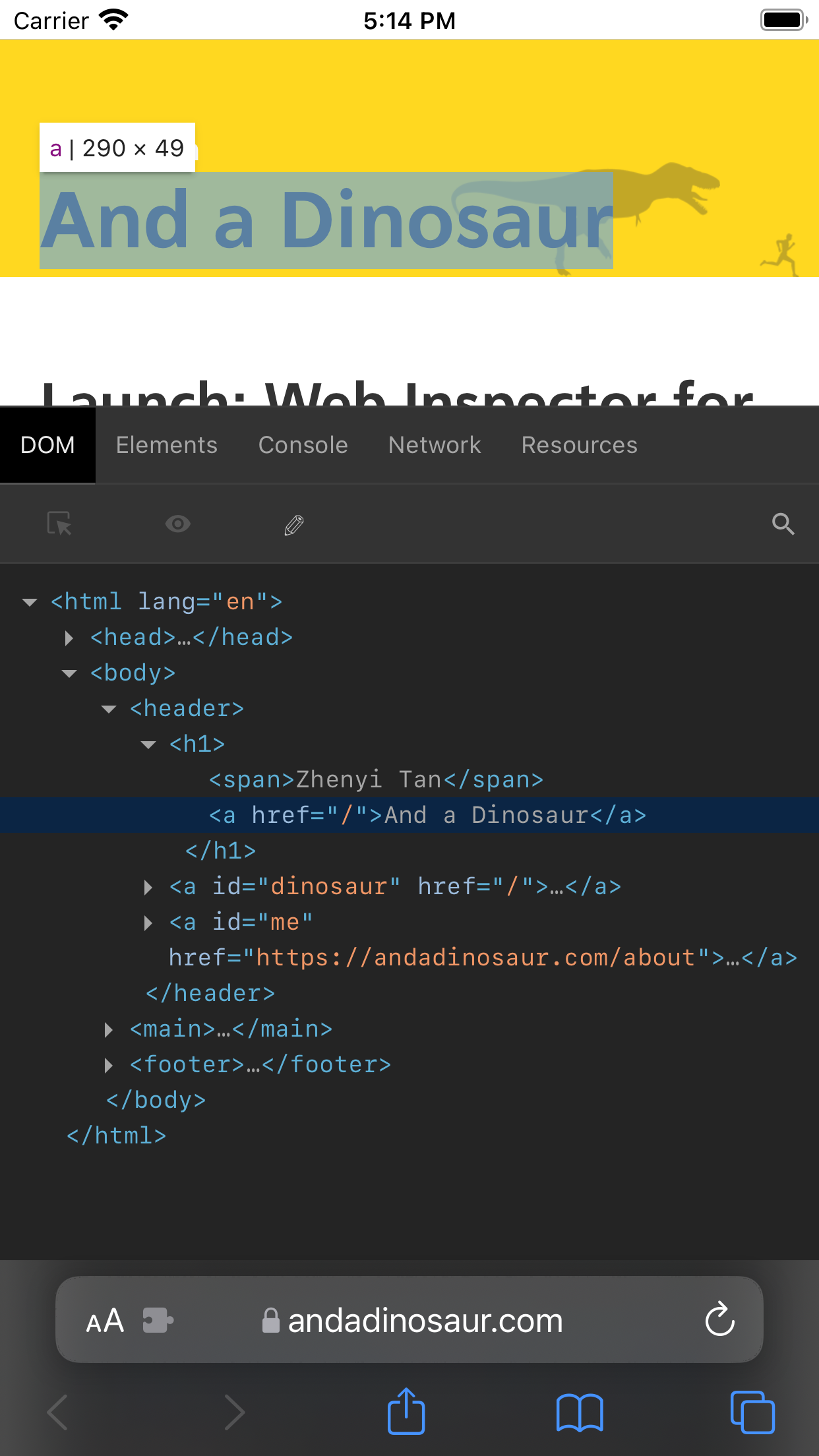 Web Inspector screenshot 1