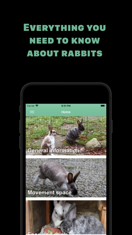 Rabbit information