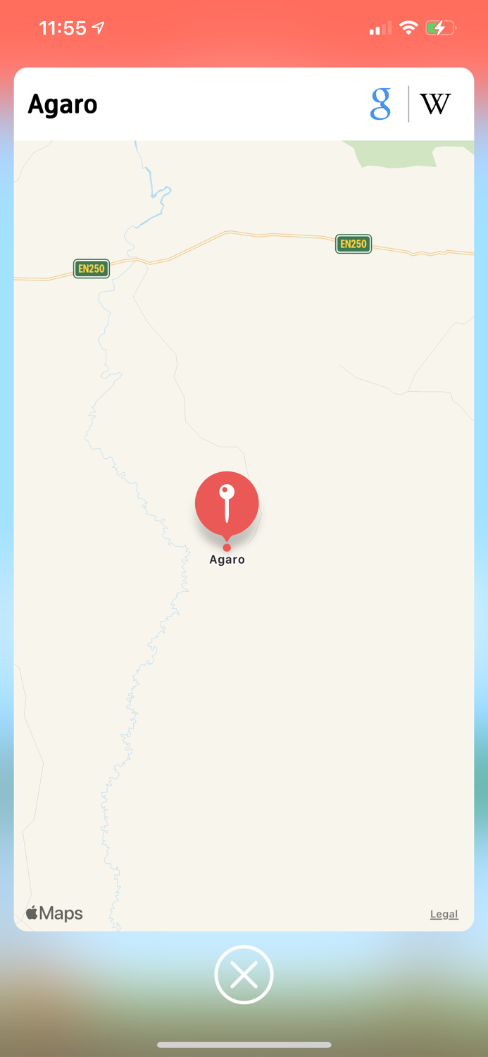 City Names Word Chain Game