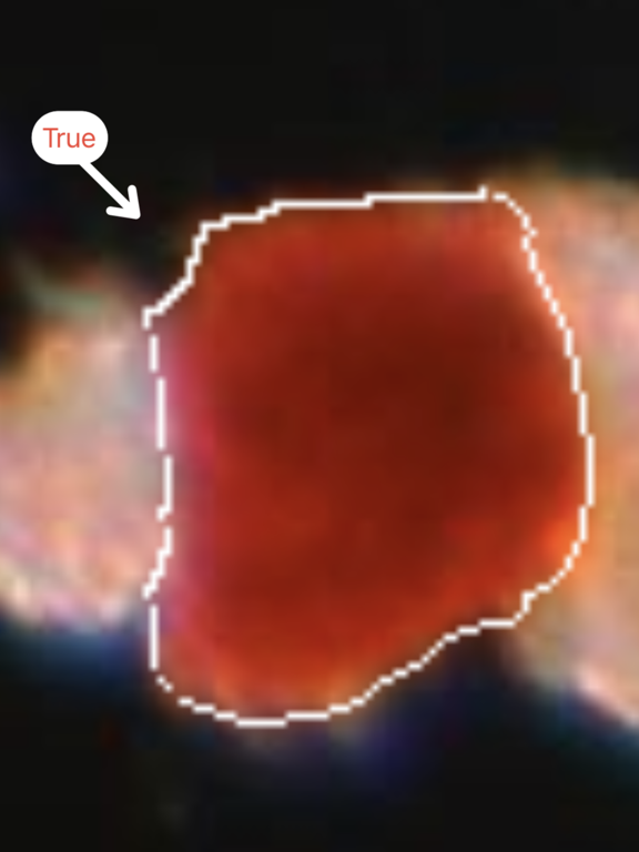 Screenshot #6 pour IsletSwipe