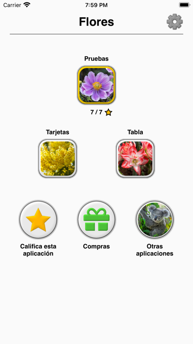 Flores: identifica las plantas