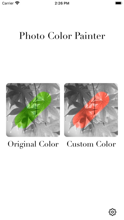 Photo Color Painter