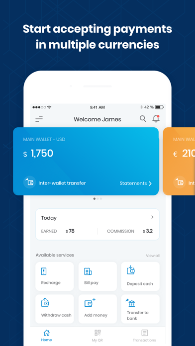 mobiquity Pay Business Screenshot