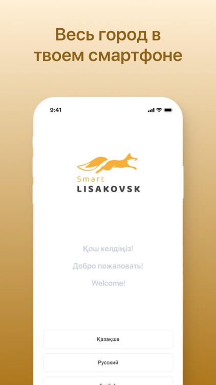 Smart Lisakovsk