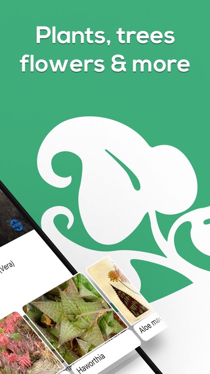 Plant Identifier - WhatPlant