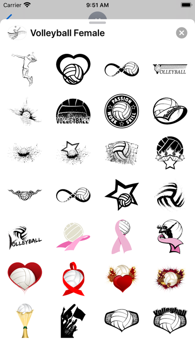 Volleyball Female Megapack Screenshot