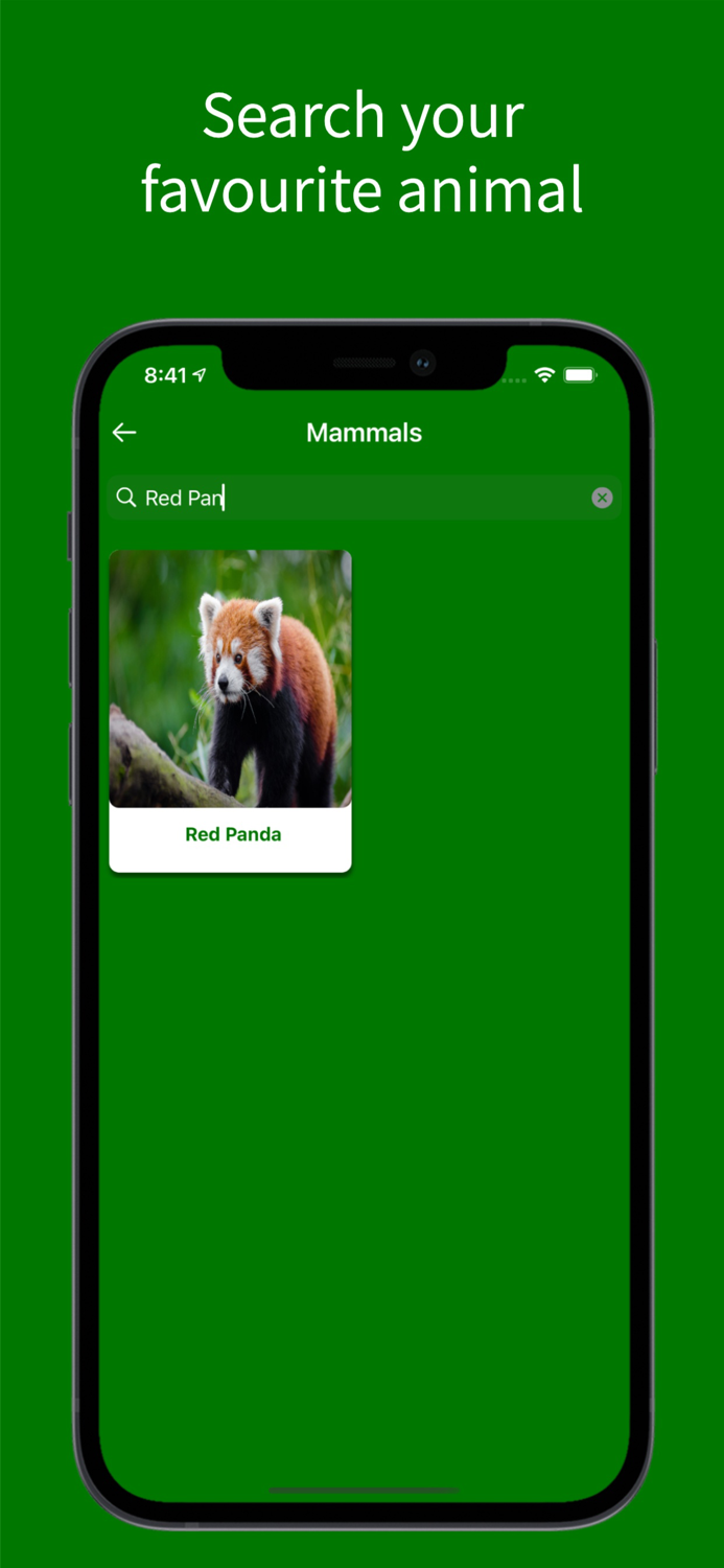 Virtual Jungle Safari