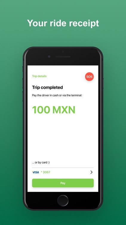 HalconVa Easy Taxi in Mexico screenshot-4