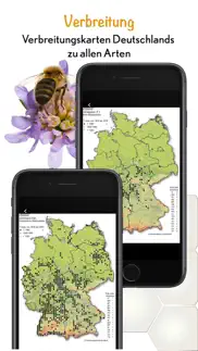wildbienen id bienabest problems & solutions and troubleshooting guide - 1