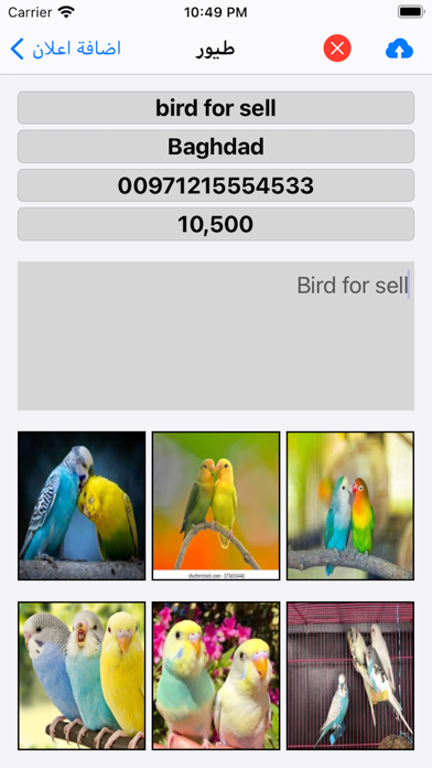 سوق الغزل Screenshot