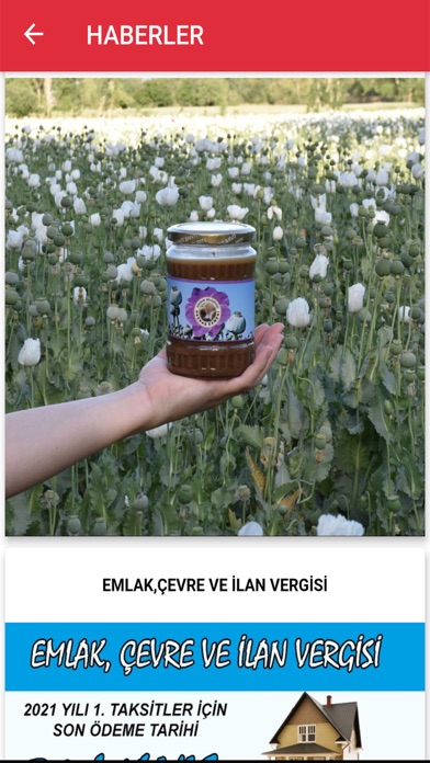 Dazkırı Belediyesi Screenshot