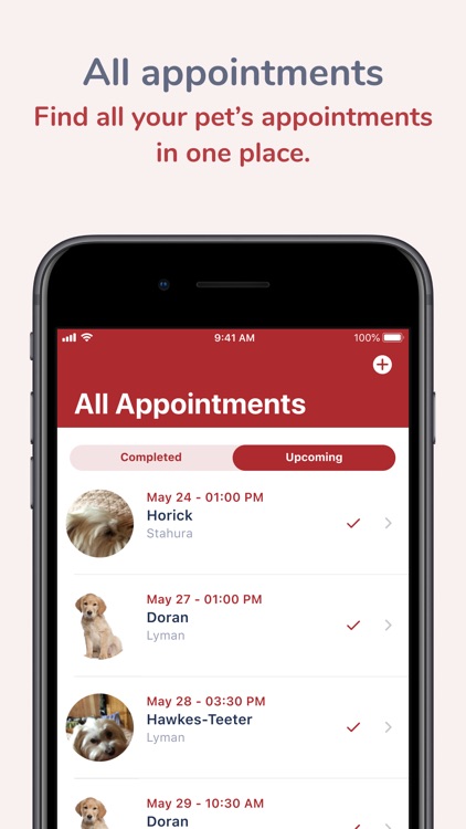 Mukilteo Veterinary Hospital screenshot-3