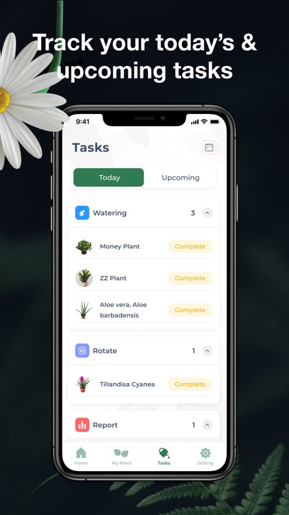 LeafSnap-Plant Identification screenshot-5