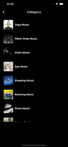 Game screenshot Pulse Muzic hack