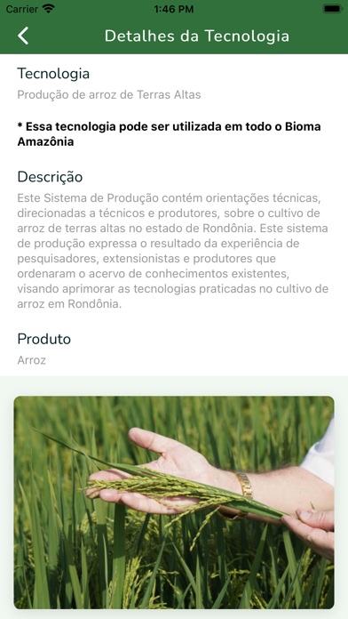 TecAmazônia Screenshot