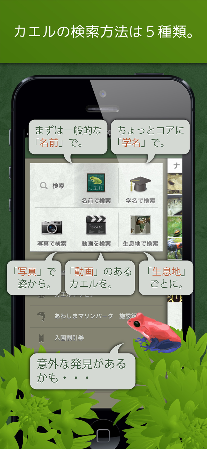 あわしま世界のカエル図鑑