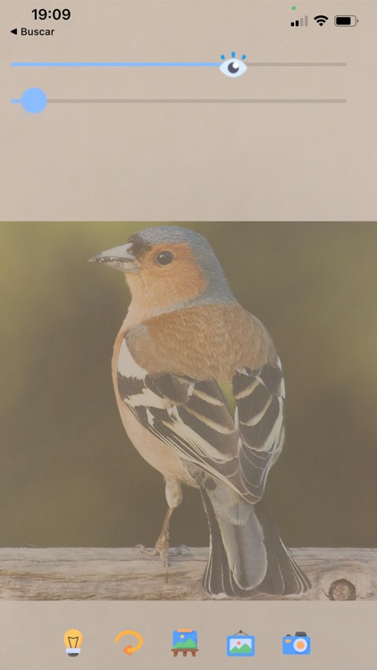 Trace it ! Let's draw app screenshot-4