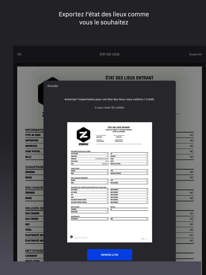 Ziiimo États des lieux 3