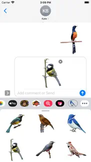 bird life stickers problems & solutions and troubleshooting guide - 3
