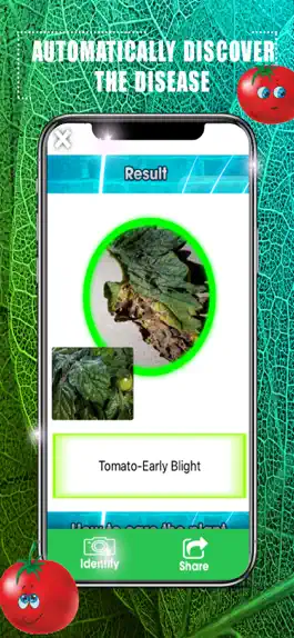 Game screenshot Identify Tomato Plant Diseases hack