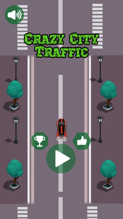 Crazy City Traffic Simulator