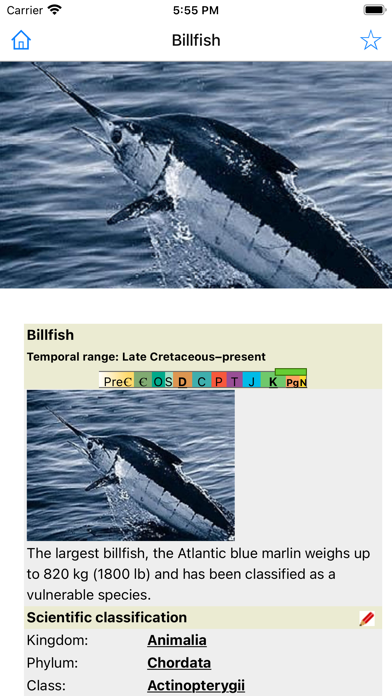 Encyclopedia of Fish Screenshot