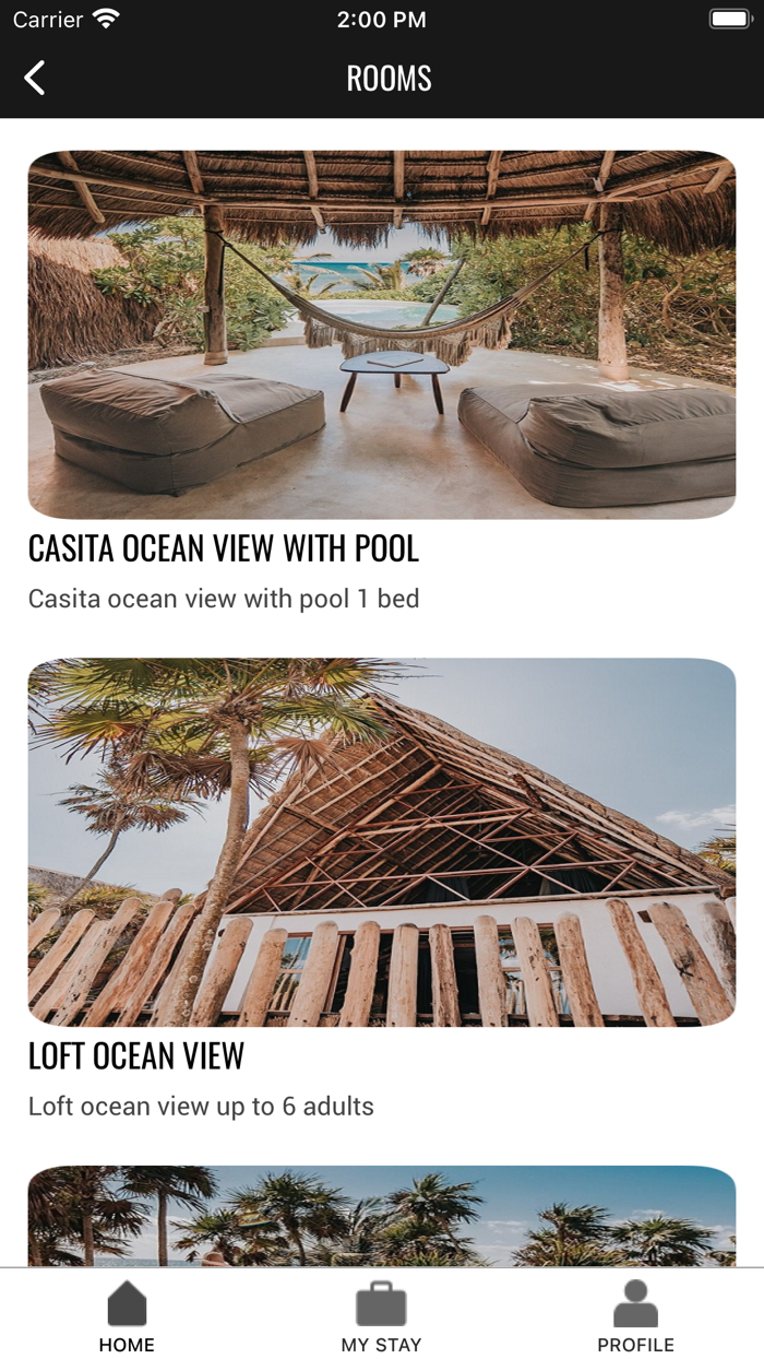 PPP - Papaya Playa Project