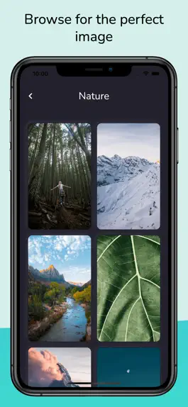 Game screenshot PhotOn - Design Curator hack