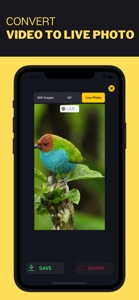 Live Photo Convert screenshot #5 for iPhone