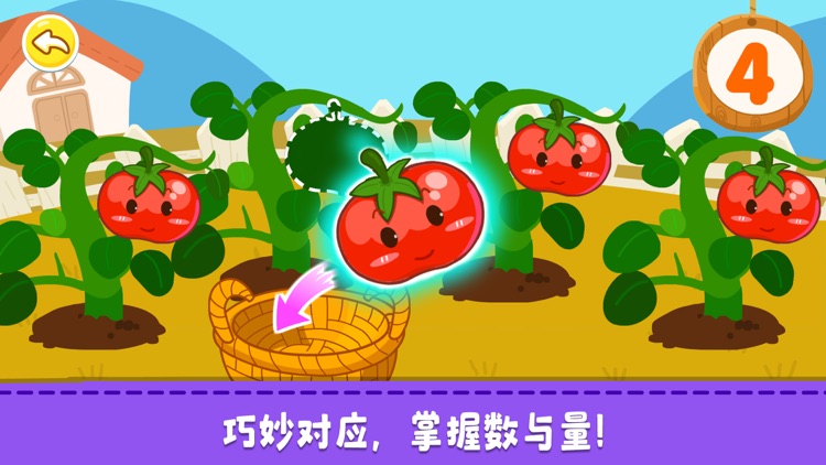 奇妙数字乐园-运算启蒙认知