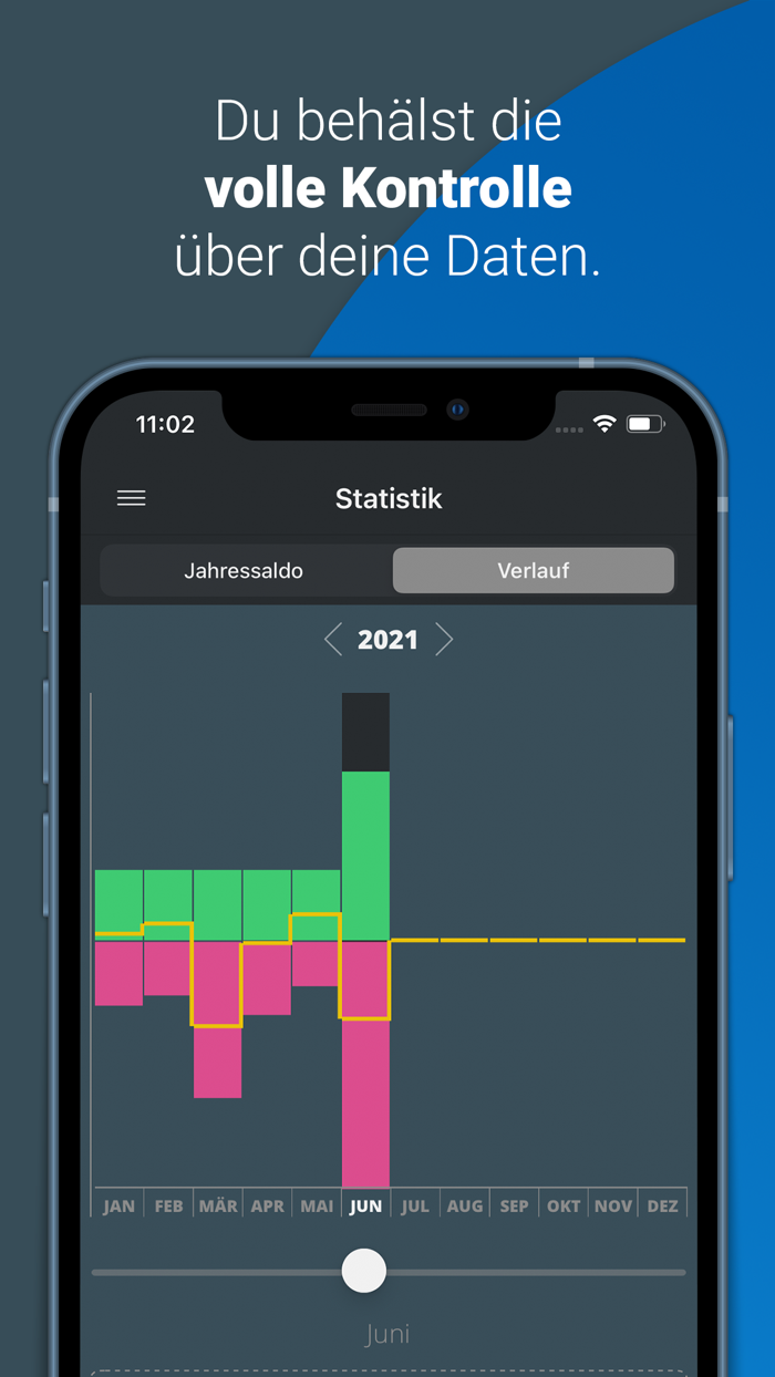 mein Budget -Ausgaben im Griff