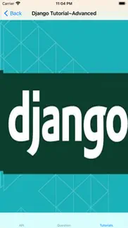api reference of django problems & solutions and troubleshooting guide - 3