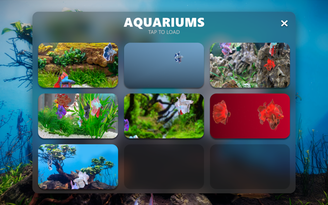 ‎Betta Fish - Virtual Aquarium Screenshot