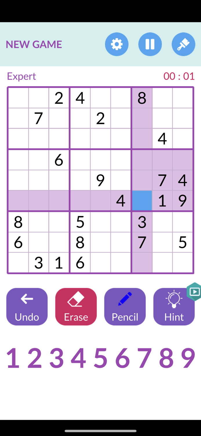 Sudoku  Puzzle Sudoku