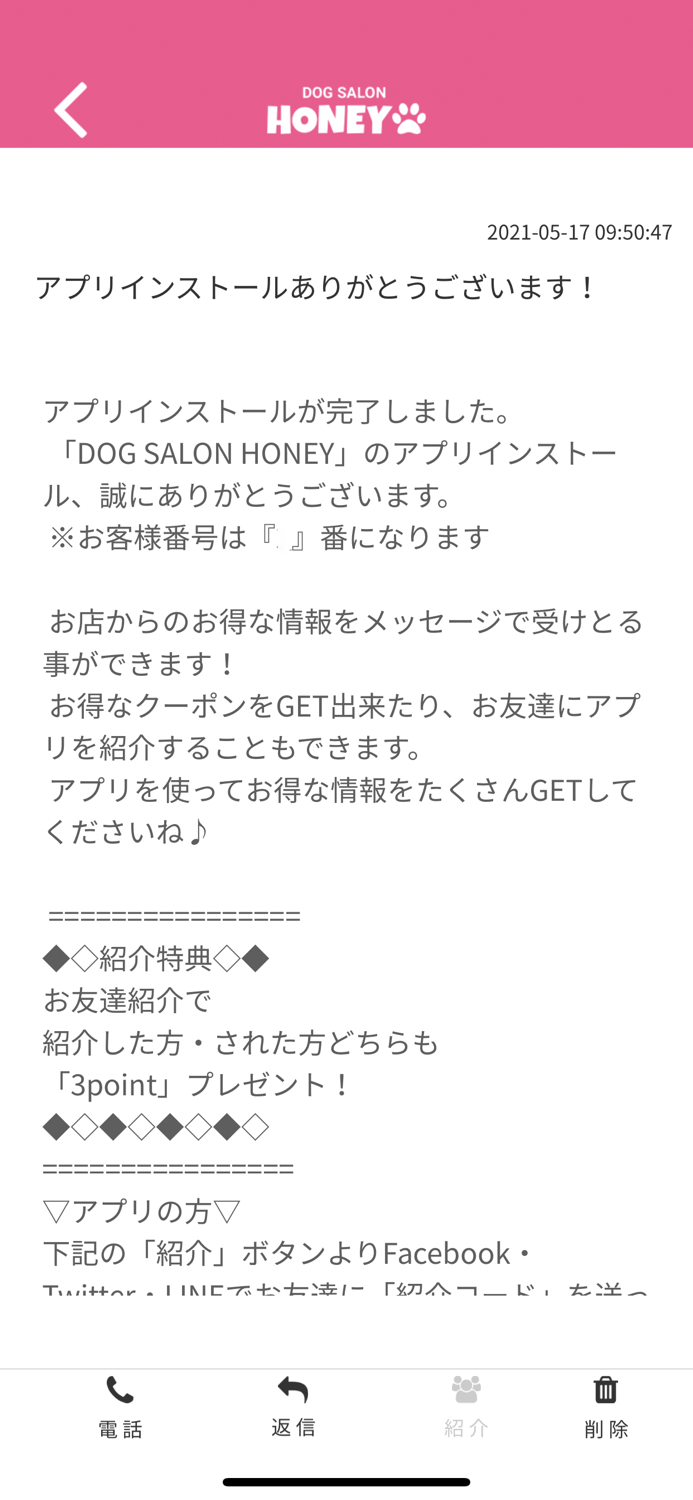 DOGSALON HONEY