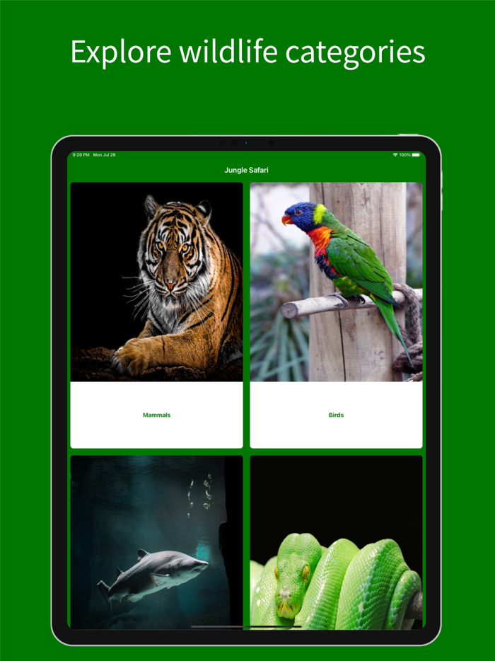 Virtual Jungle Safari