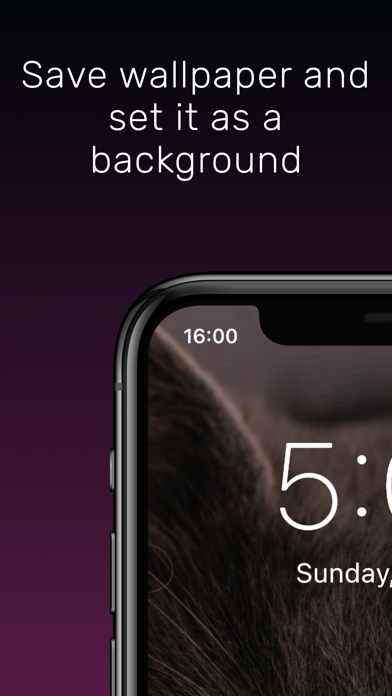 Cyber Cat Wallpapers HD iPhone screenshot